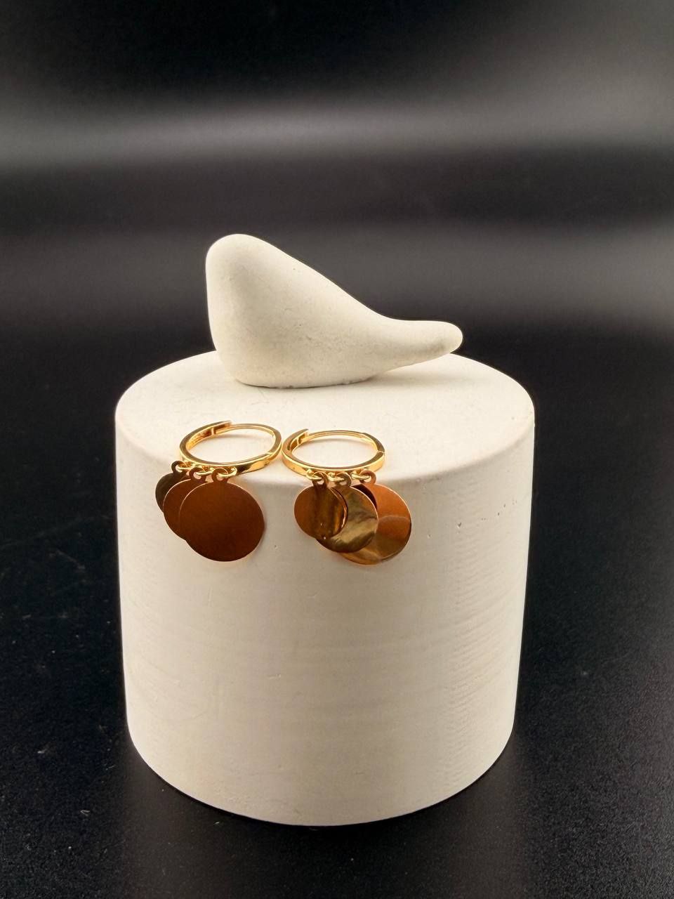 photo_2025-12-13_20-42-09 گوشواره همام پولکی - تصویر 1