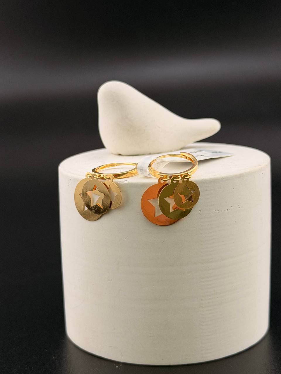 photo_2025-12-13_20-45-38 گوشواره همام دایره ستاره - تصویر 1