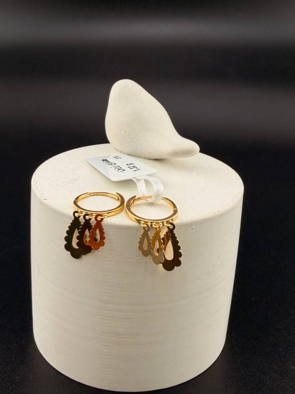 photo_2025-12-13_20-48-21 گوشواره همام کاج - تصویر 1